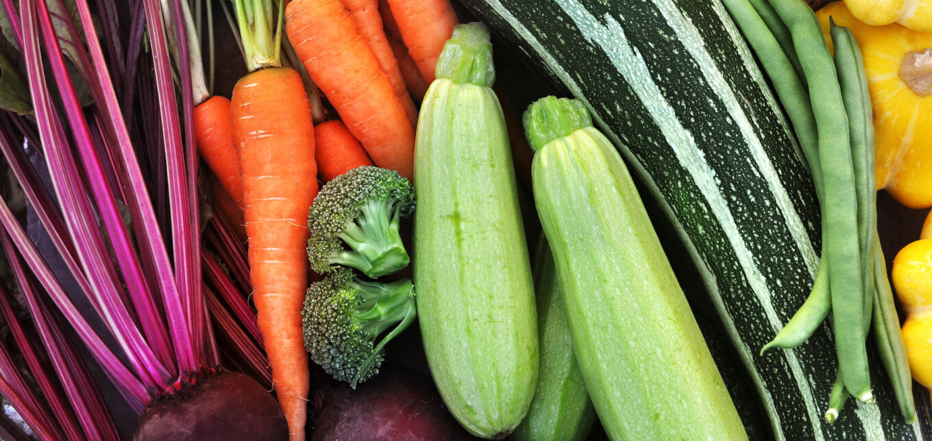 Fall Container Vegetable Gardening – Mother Earth News - Vimarsana News